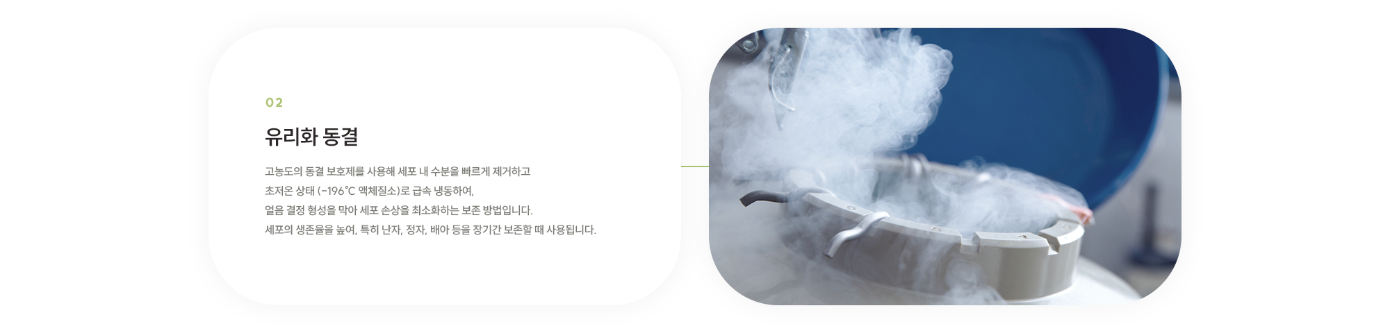 유리화 동결 : 고농도의 동결 보호제를 사용해 세포 내 수분을 빠르게 제거하고 초저온 상태 (-196℃ 액체질소)로 급속 냉동하여, 얼음 결정 형성을 막아 세포 손상을 최소화하는 보존 방법입니다. 세포의 생존율을 높여, 특히 난자, 정자, 배아 등을 장기간 보존할 때 사용됩니다.