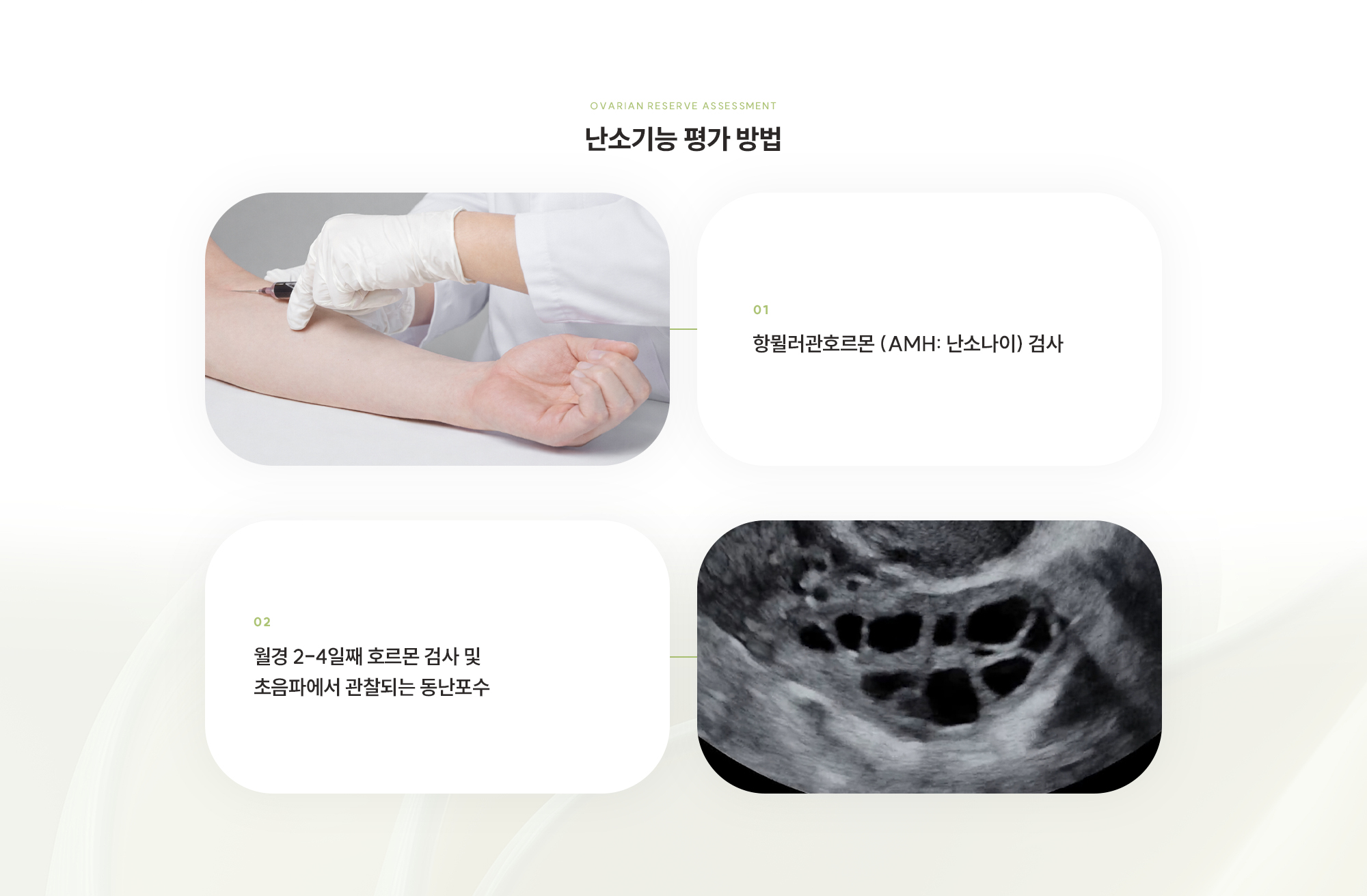 [난소기능 평가 방법] 01. 항뮐러관호르몬 (AMH: 난소나이) 검사 / 02. 월경 2-4일째 호르몬 검사 및 초음파에서 관찰되는 동난포수