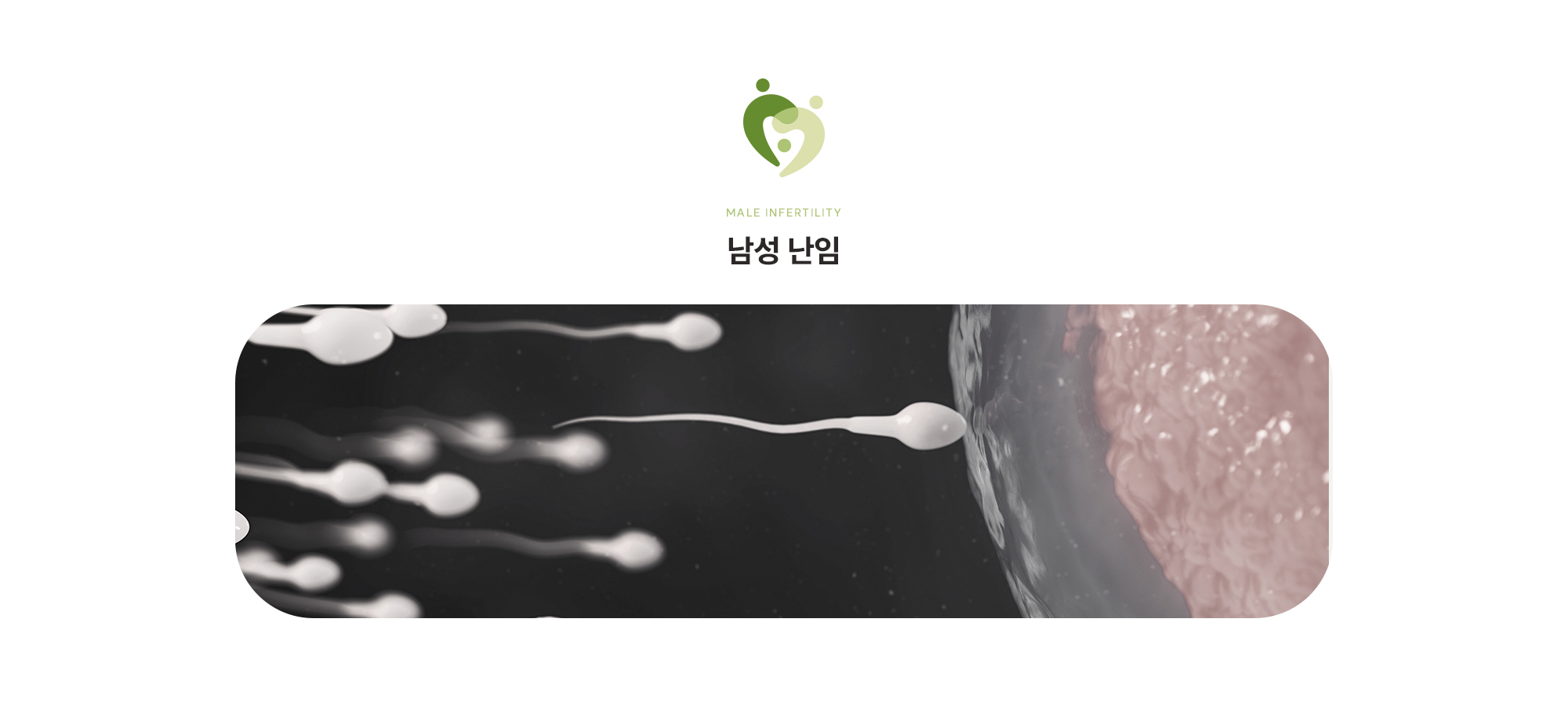 [남성 난임]