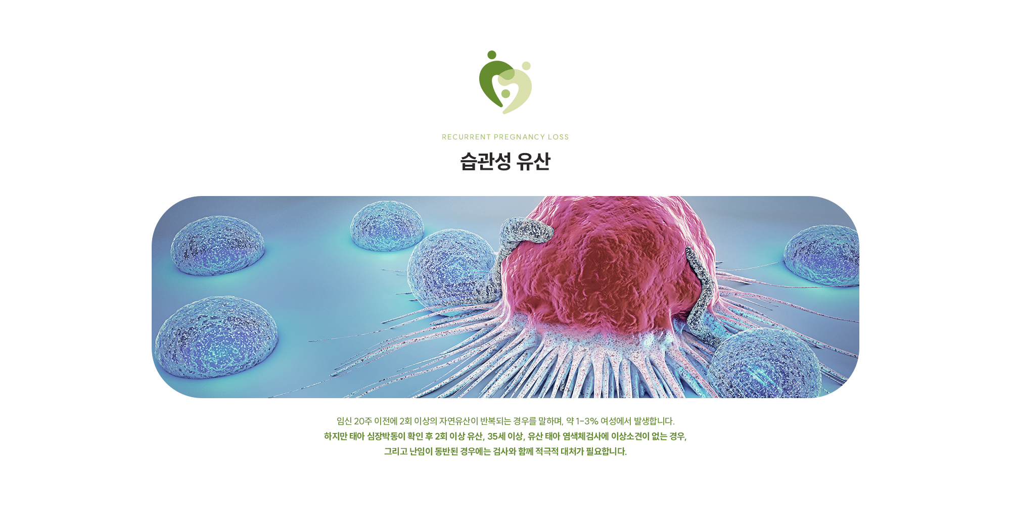 [습관성 유산] 임신 20주 이전에 2회 이상의 자연유산이 반복되는 경우를 말하며, 약 1-3% 여성에서 발생합니다. 하지만 태아 심장박동이 확인 후 2회 이상 유산, 35세 이상, 유산 태아 염색체검사에 이상소견이 없는 경우, 그리고 난임이 동반된 경우에는 검사와 함께 적극적 대처가 필요합니다.